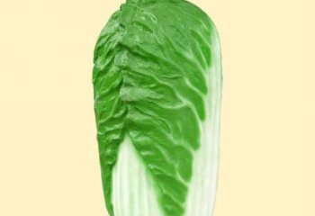 廊坊玻璃钢大白菜雕塑