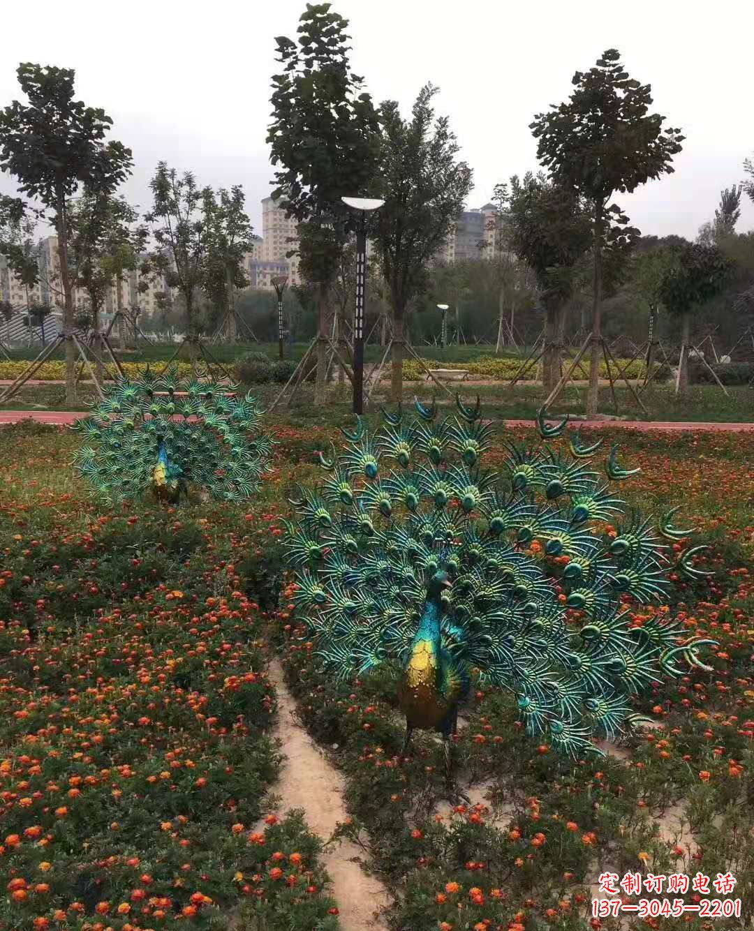 廊坊不锈钢彩绘孔雀雕塑