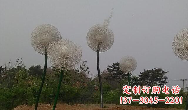 廊坊蒲公英的绚丽多彩