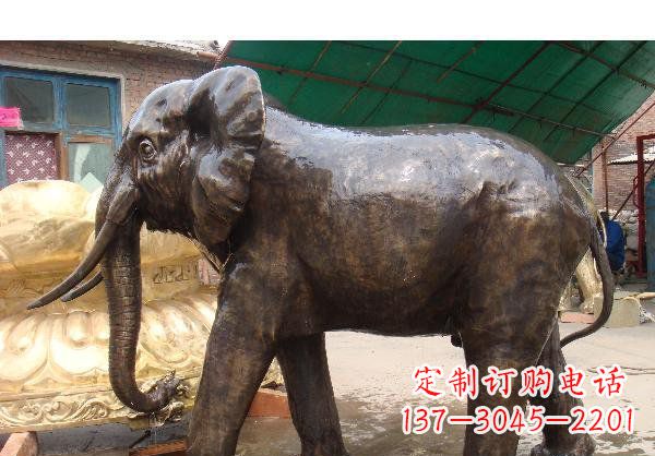 廊坊精美大象铜雕塑
