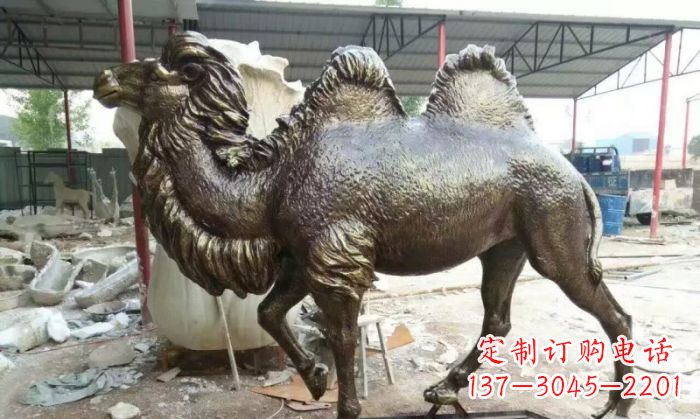 廊坊铜雕骆驼,精致优雅