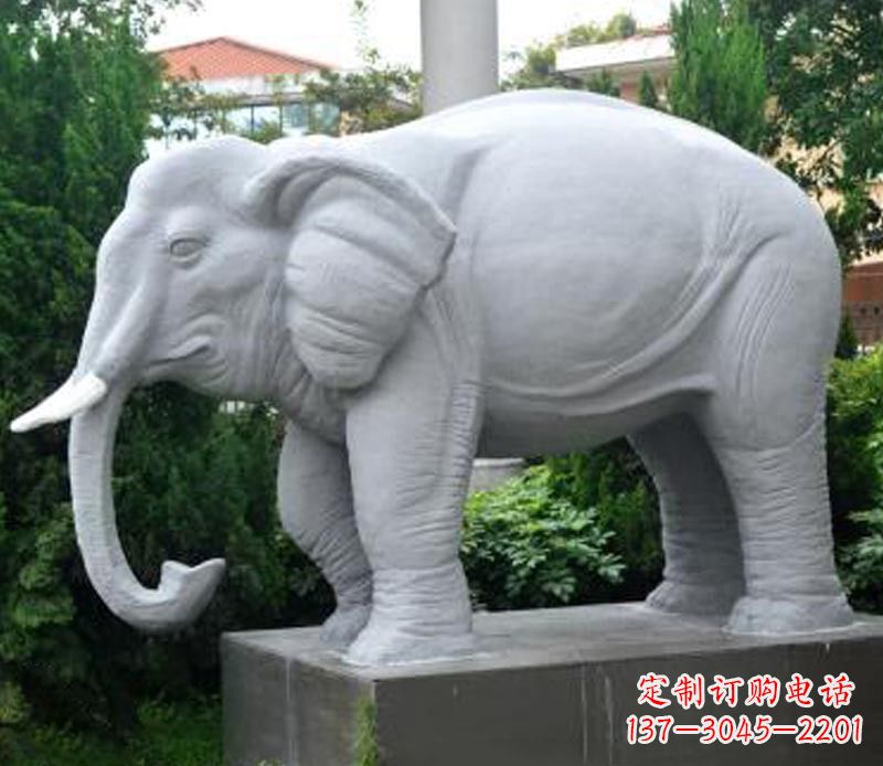 廊坊大象大理石石雕