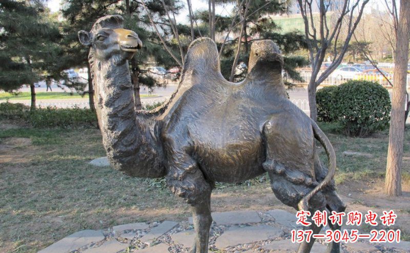 廊坊铜骆驼雕塑——浓缩自然美丽