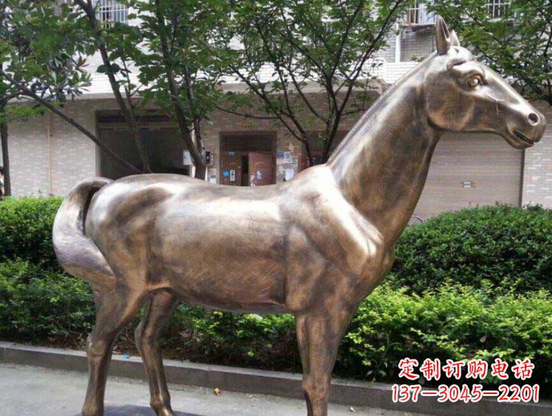 廊坊公园马动物铜雕 (3)