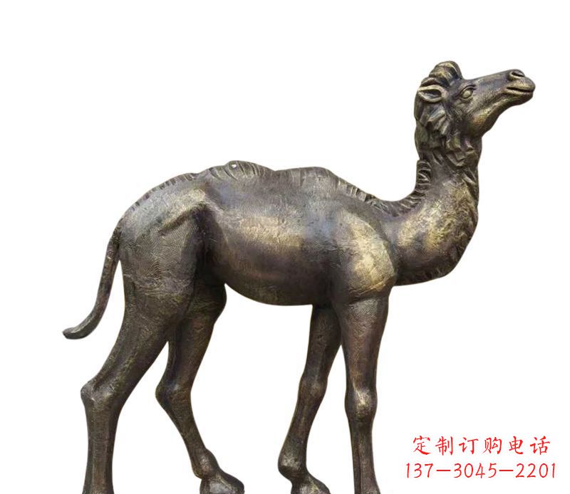 廊坊奇美洁净的骆驼铜雕