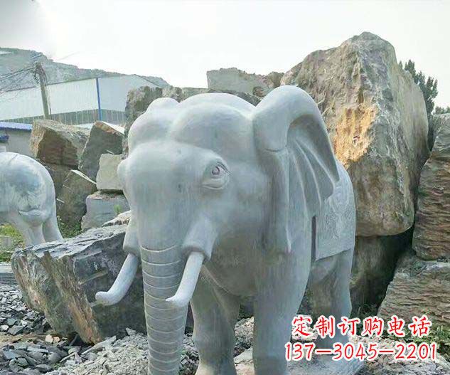 廊坊广场景观大理石大象石雕 (2)