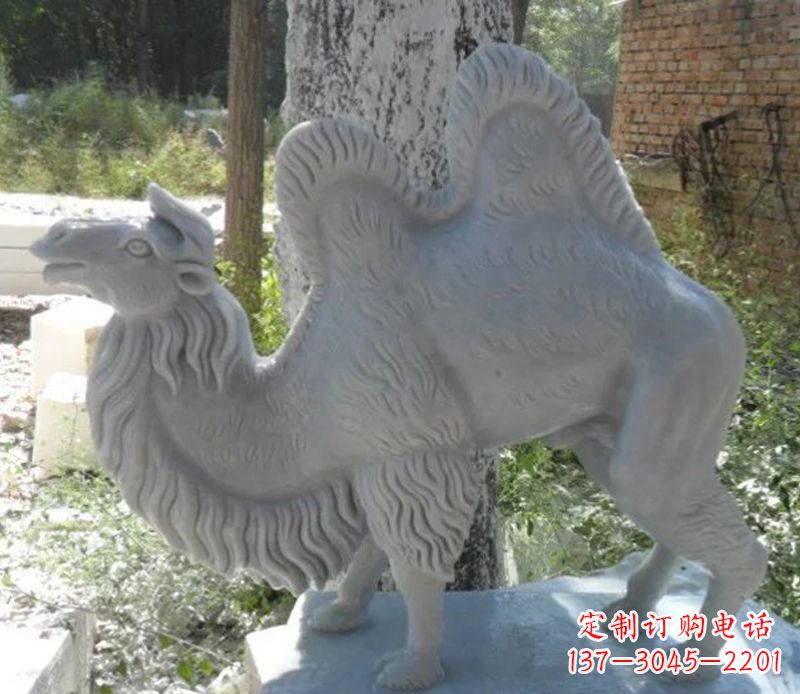 廊坊汉白玉动物骆驼石雕
