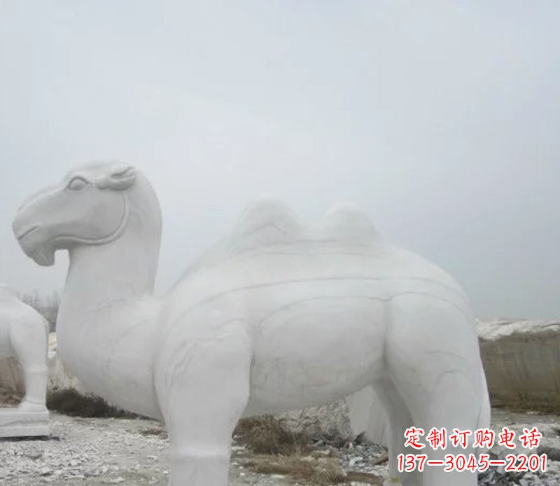 廊坊汉白玉骆驼石雕塑,装点家居空间
