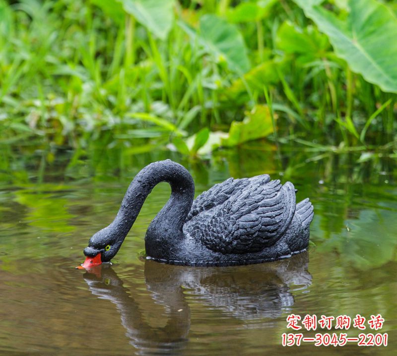 廊坊黑天鹅喝水款-池塘水塘装饰动物雕塑摆件