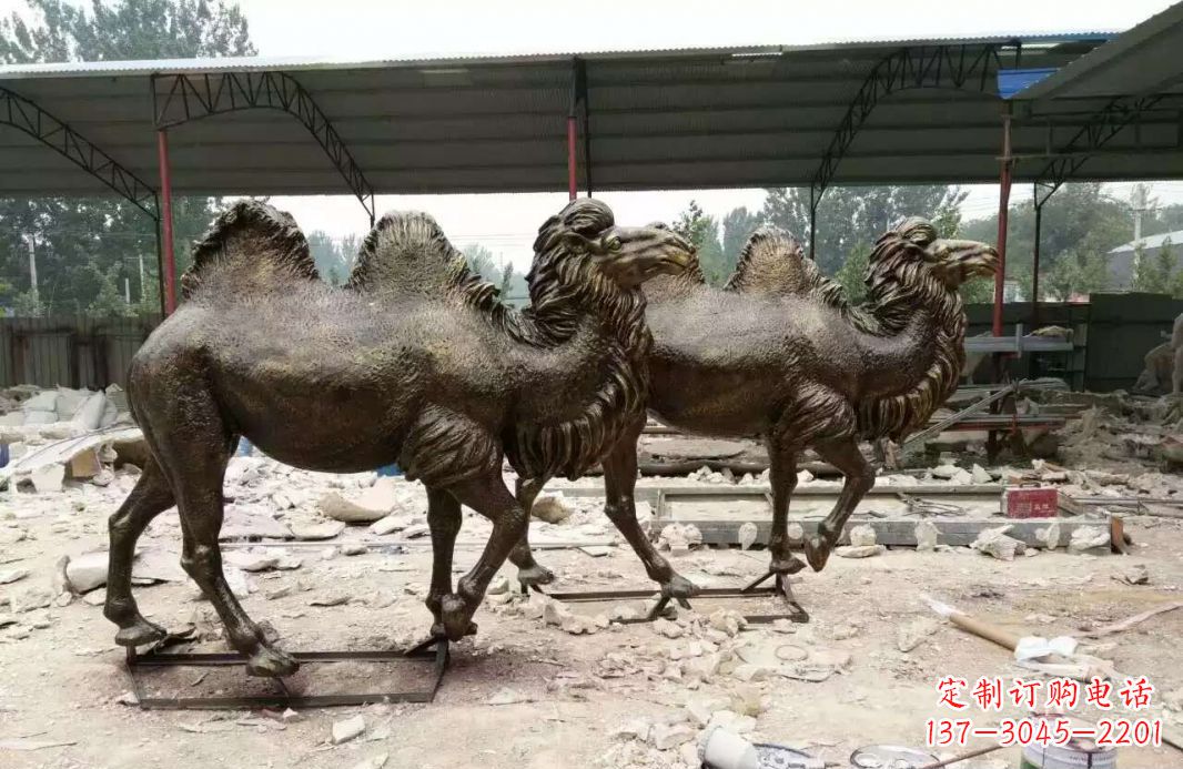 廊坊欣赏大自然的艺术之作——骆驼铜雕