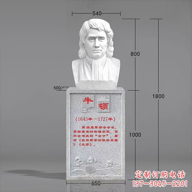 廊坊艺术精灵:牛顿汉白玉石头像雕塑