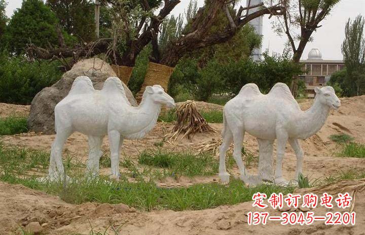 廊坊欣赏大自然,石雕骆驼公园动物雕塑邀请您