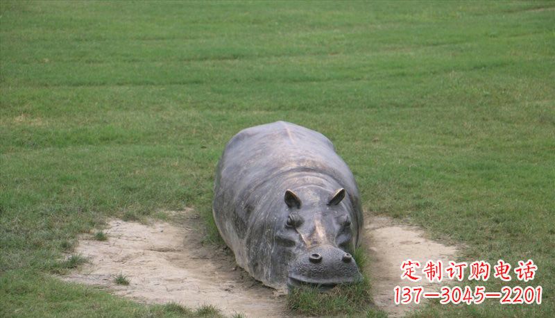 廊坊铜雕趴着的河马