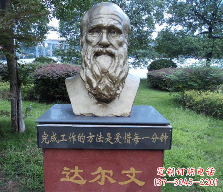 廊坊铜雕校园达尔文肖像雕塑