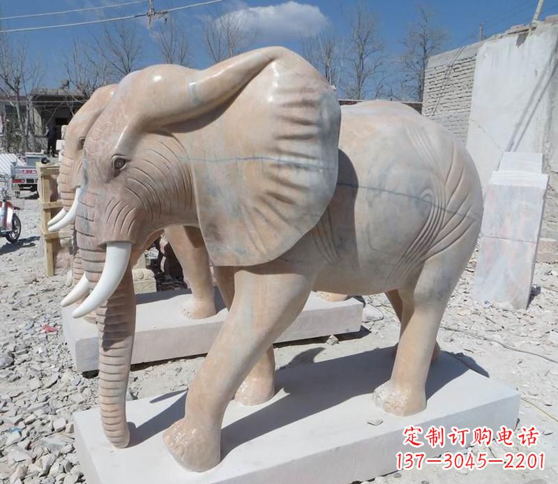 廊坊晚霞红卷鼻大象