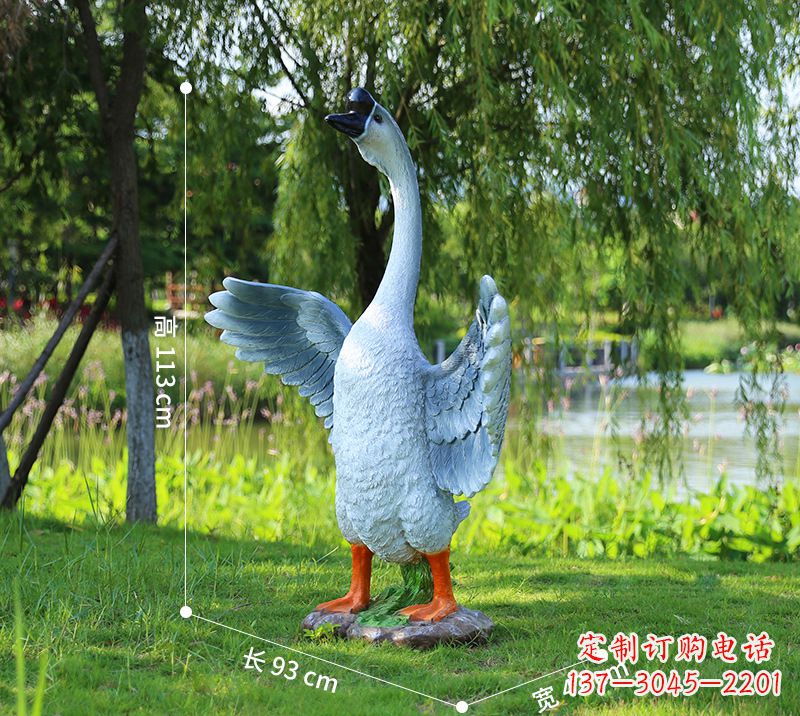 廊坊站立的灰色展翅天鹅